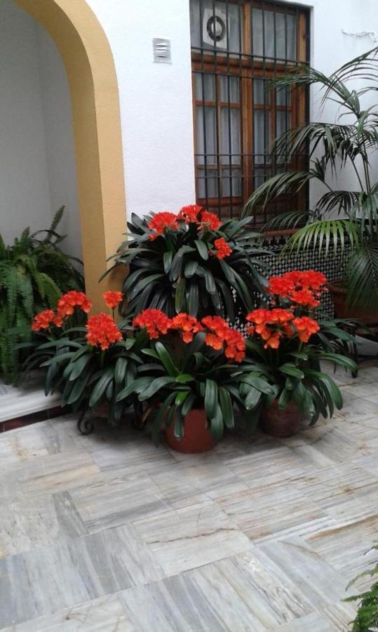 Ferienwohnung Cordoba Centro Esencia Cordobesa. Mezquita Exterior foto